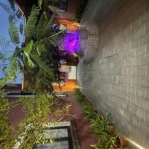  Hostel Quinta La Perla Mexico